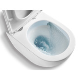 Temple &amp; Webster Butler Quiet Flush Back to Wall Toilet Suite