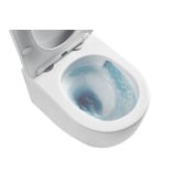 Temple &amp; Webster Myles Wall Faced Toilet Package with White Flush Button