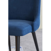 Temple &amp; Webster Brahms Velvet Dining Chairs