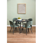 Temple &amp; Webster Sophia Chenille Dining Chairs