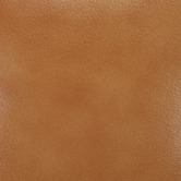 Temple &amp; Webster Tan