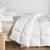 Temple &amp; Webster 500GSM Plush Comfort Down Alternative &amp; Cotton Quilt