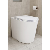 Temple &amp; Webster Myles Rimless Quiet Flush Wall-Faced Toilet Pan