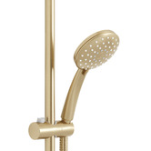 Temple &amp; Webster Clovelly Brushed Gold Square Gooseneck Twin Shower