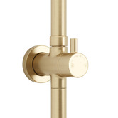 Temple &amp; Webster Clovelly Brushed Gold Square Gooseneck Twin Shower