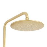 Temple &amp; Webster Clovelly Brushed Gold Round Gooseneck Twin Shower
