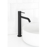 Temple &amp; Webster Clovelly Matte Black Tall Basin Mixer