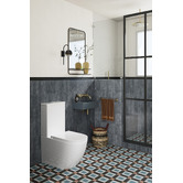 Temple &amp; Webster Butler Quiet Flush Back to Wall Toilet Suite