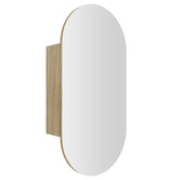Temple &amp; Webster Mecca 450mm Pill Mirrored Shaving Cabinet