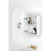 Temple &amp; Webster Mecca 450mm Pill Mirrored Shaving Cabinet