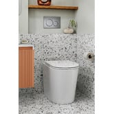 Temple &amp; Webster Myles Wall Faced Toilet Package with White Flush Button