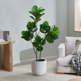 Temple &amp; Webster 160cm Potted Faux Fiddle Leaf Fig Tree