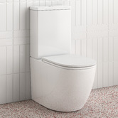 Temple &amp; Webster Butler Quiet Flush Back to Wall Toilet Suite