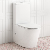 Temple &amp; Webster Myles Overheight Quiet Flush Back to Wall Toilet Suite