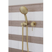 Temple &amp; Webster Clovelly Brushed Gold Round Hand-held Shower