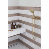 Temple &amp; Webster Clovelly Brushed Gold Round Hand-held Shower