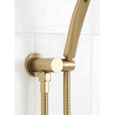 Temple &amp; Webster Clovelly Brushed Gold Round Hand-held Shower