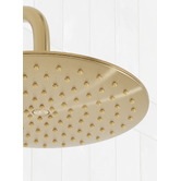 Temple &amp; Webster Clovelly Brushed Gold Round Shower Arm &amp; Head