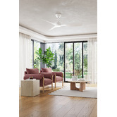 Temple &amp; Webster Alina 132cm WIFI DC Ceiling Fan with LED Light &amp; Remote Control