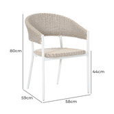 Temple &amp; Webster Wanda PE Wicker &amp; Aluminium Outdoor Dining Chairs