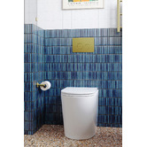 Temple &amp; Webster Myles Rimless Quiet Flush Wall-Faced Toilet Pan Rubine Package
