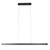 Temple &amp; Webster Jude 120cm LED Pendant Light