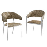 Temple &amp; Webster Wanda PE Wicker &amp; Aluminium Outdoor Dining Chairs