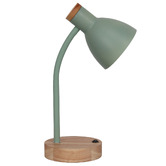 Temple &amp; Webster 36cm Finley Desk Lamp with USB