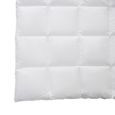 Temple &amp; Webster Plush Comfort All Seasons Quilt
