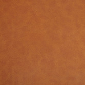 Temple &amp; Webster Tan