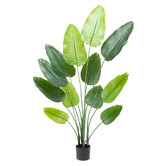 Temple &amp; Webster 180cm Potted Faux Bird of Paradise Plant