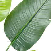 Temple &amp; Webster 180cm Potted Faux Bird of Paradise Plant