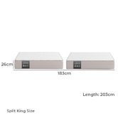 Temple &amp; Webster Studio 5 Zone Pocket Spring Mattress
