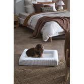 Temple &amp; Webster Arlo Boucle Memory Foam Dog Bed