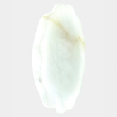 Temple &amp; Webster Henry Alabaster LED Wall Sconce