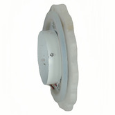 Temple &amp; Webster Henry Alabaster LED Wall Sconce