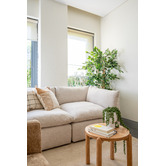 Temple &amp; Webster Caterina Solid Oak Side Table