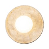 Temple &amp; Webster Riley Capiz Shell Wall Sconce