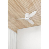 Temple &amp; Webster Alina 132cm DC Low Profile Ceiling Fan with LED Light