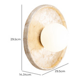 Temple &amp; Webster Riley Capiz Shell Wall Sconce