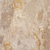 Temple &amp; Webster Beige Delight Mia Marble Side Table