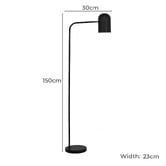 Temple &amp; Webster Luka Metal Floor Lamp