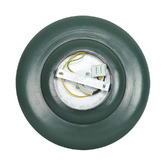 Temple &amp; Webster Myal Wall Light