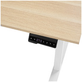 Temple &amp; Webster Leo Electric Sit &amp; Stand Desk