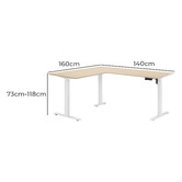 Temple &amp; Webster Leo Electric Sit &amp; Stand Desk