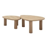 Temple &amp; Webster 2 Piece Nolan Nesting Coffee Table Set
