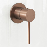 Temple &amp; Webster Clovelly Bronze Shower/Bath Wall Mixer