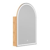 Temple &amp; Webster Soho 600mm Arch LED Mirrored Shaving Cabinet