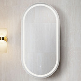 Temple &amp; Webster Soho 450mm Pill LED Mirrored Shaving Cabinet