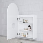 Temple &amp; Webster Soho 600mm Arch LED Mirrored Shaving Cabinet